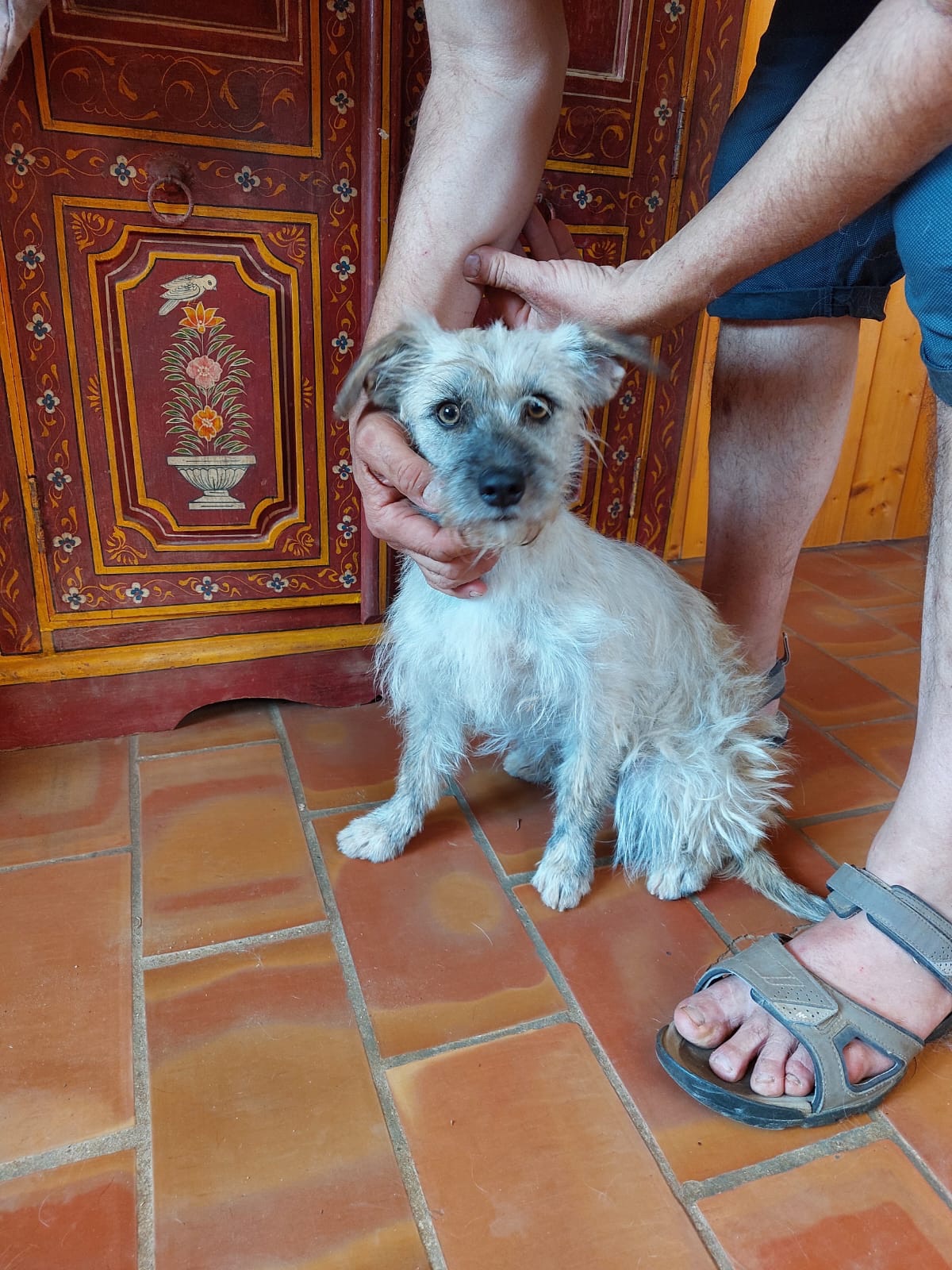 28dbde75-bcf1-4b32-890d-f590d42b76dc-1.jpg