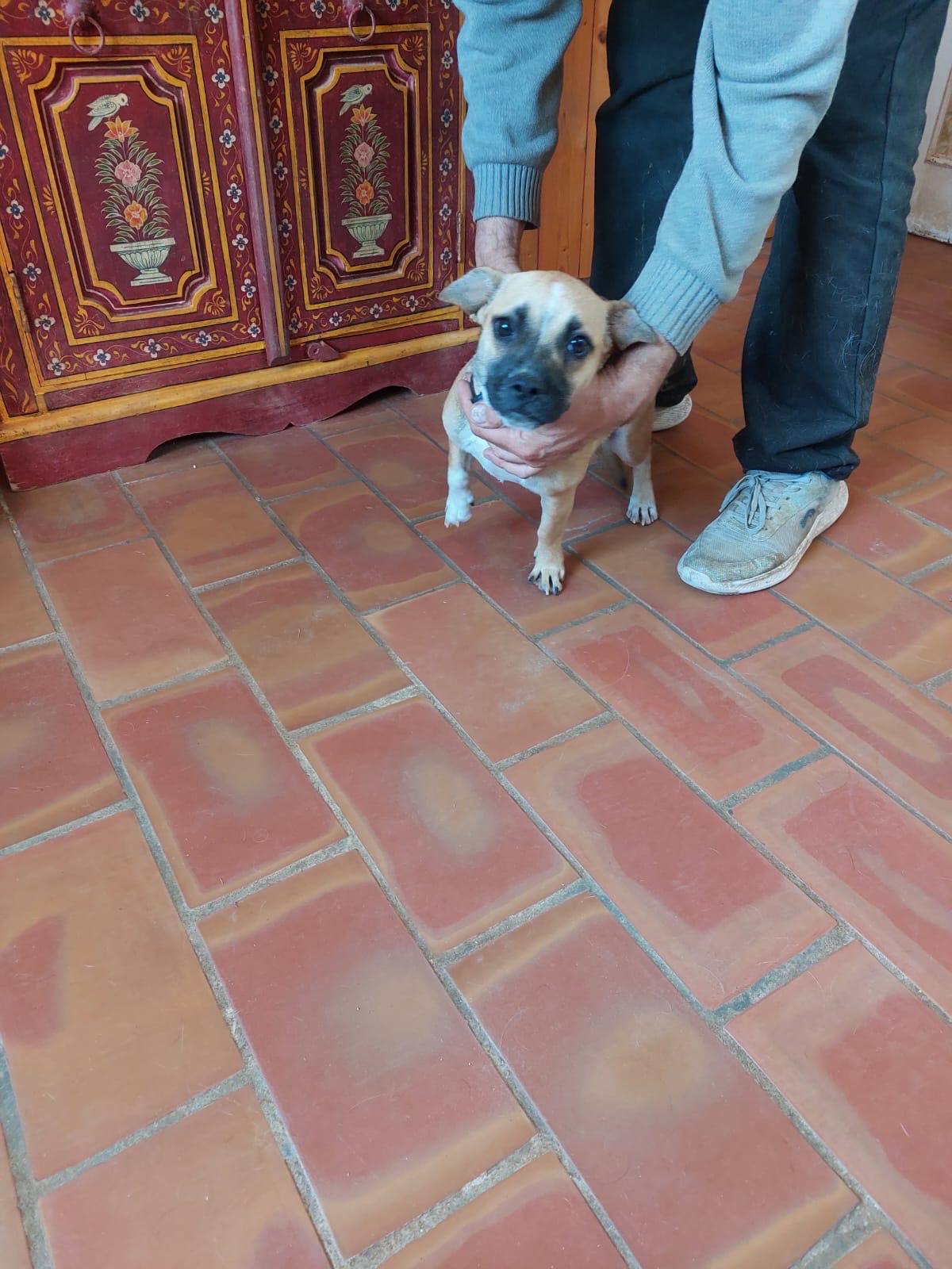 a0530634-43e1-486d-a0cd-de3eb5bbf209.jpg