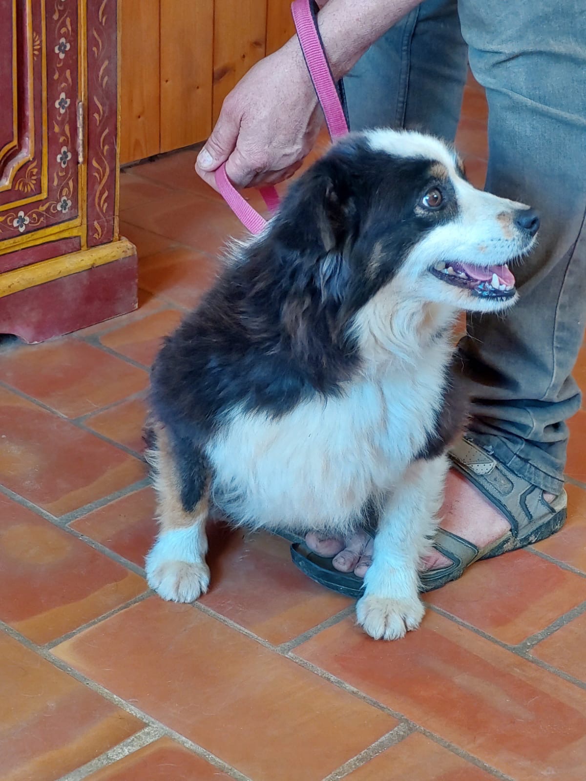 a764cec5-b09c-4bf8-a831-57281d140df8.jpg