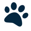 paw-solid-1-qngsl3z4hj11wclvr75t1qehfle4ps2itabmz8fy1c-1